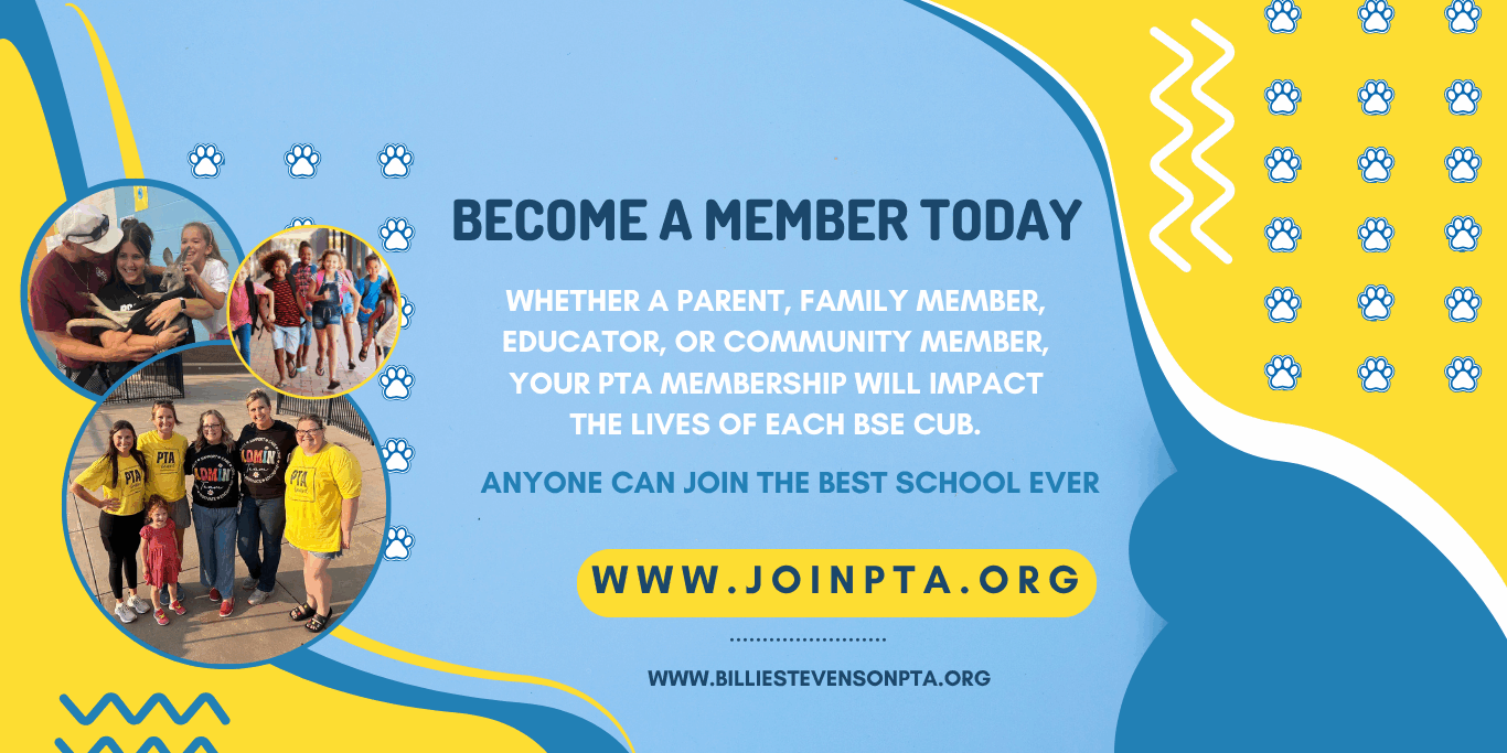 Blue &amp; Yellow Modern School Admisson Billboard Web Ad (Website)-5